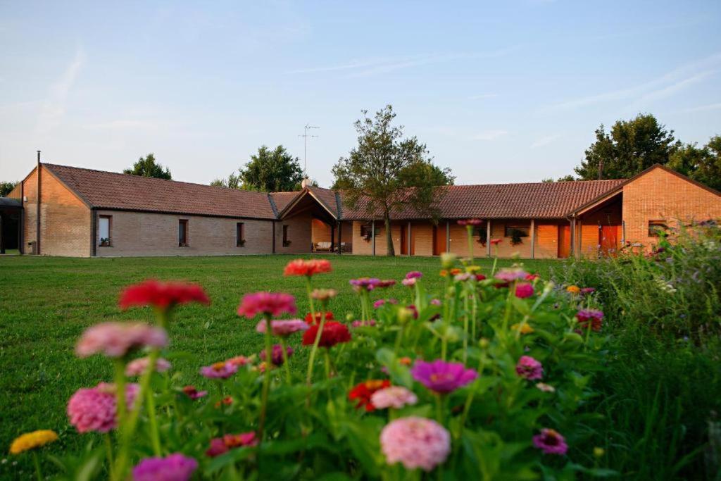 Relais Agrituristico Ormesani Villa San Liberale Exterior foto